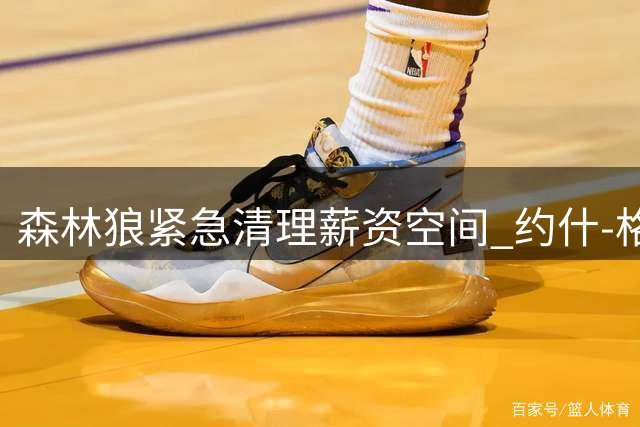森林狼紧急清理薪资空间 约什-格林或遭裁员